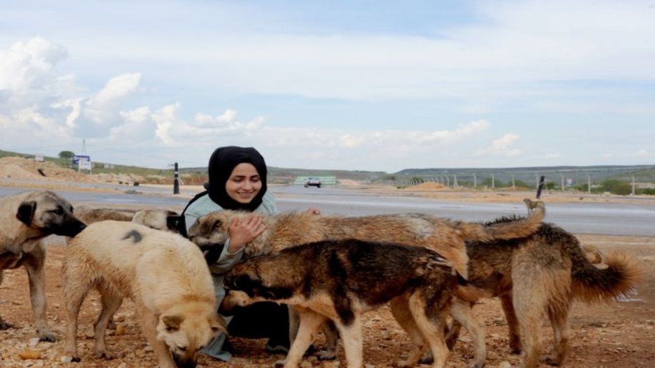 Kısıtlama nedeniyle aç kalan köpekleri elleriyle beslediler