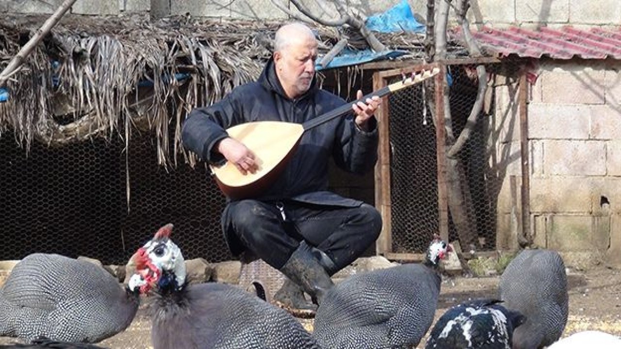 Hayvanlara bağlama konseri