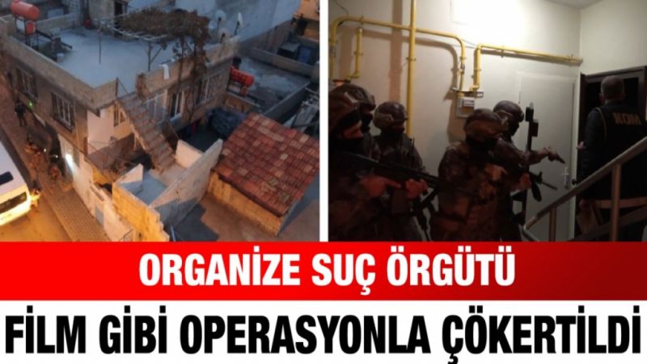 Organize suç örgütü film gibi operasyonla çökertildi