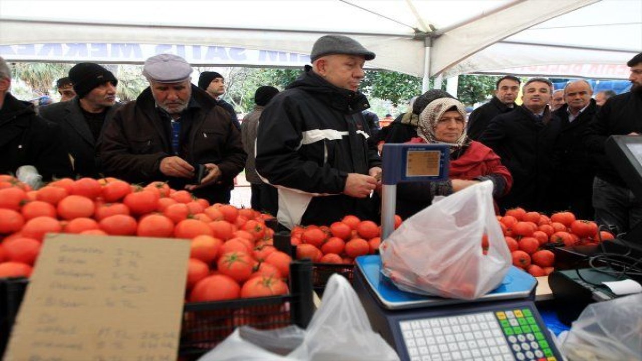 Tanzimde en çok patates satıldı