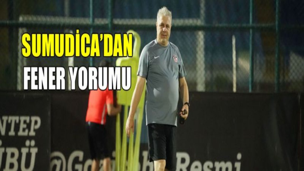 Marius Sumudica : Dezavantajımız yeni bir takım olmamız