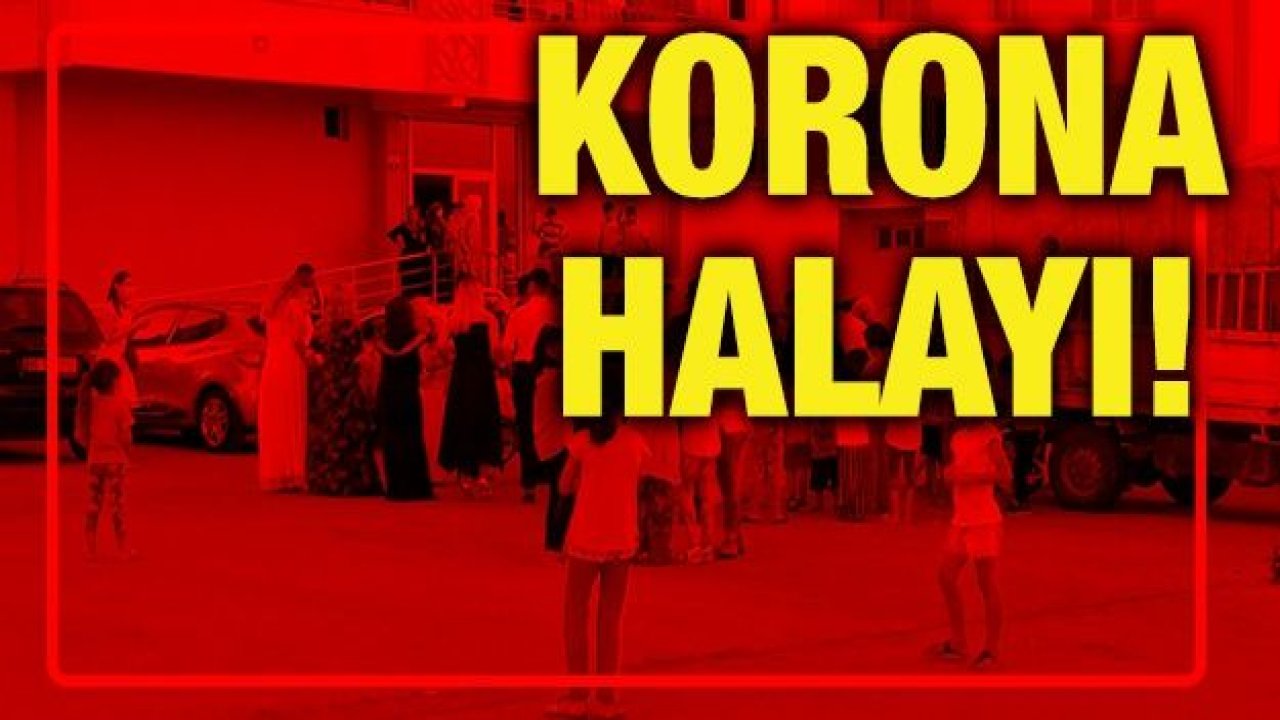 'Korona halayları' devam ediyor