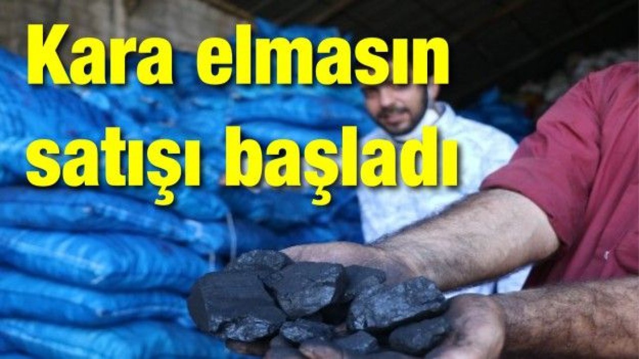 Kara elmasın satışı başladı