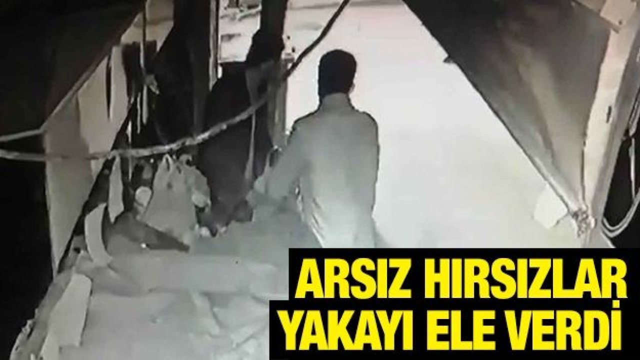 Arsız hırsızlar yakayı ele verdi