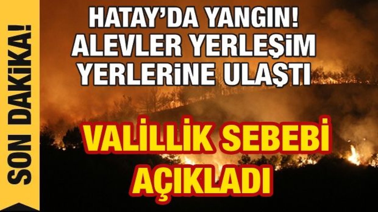 Son Dakika...Evler tahliye ediliyor...Hatay'daki yangın farklı noktalara sıçradı...Rüzgar nedeniyle yangına havadan müdahale edilemiyor