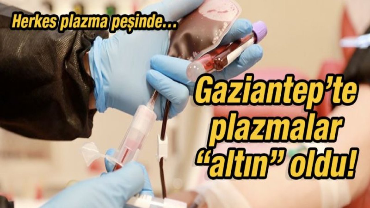 Gaziantep’te plazmalar “altın” oldu!  Herkes plazma peşinde…