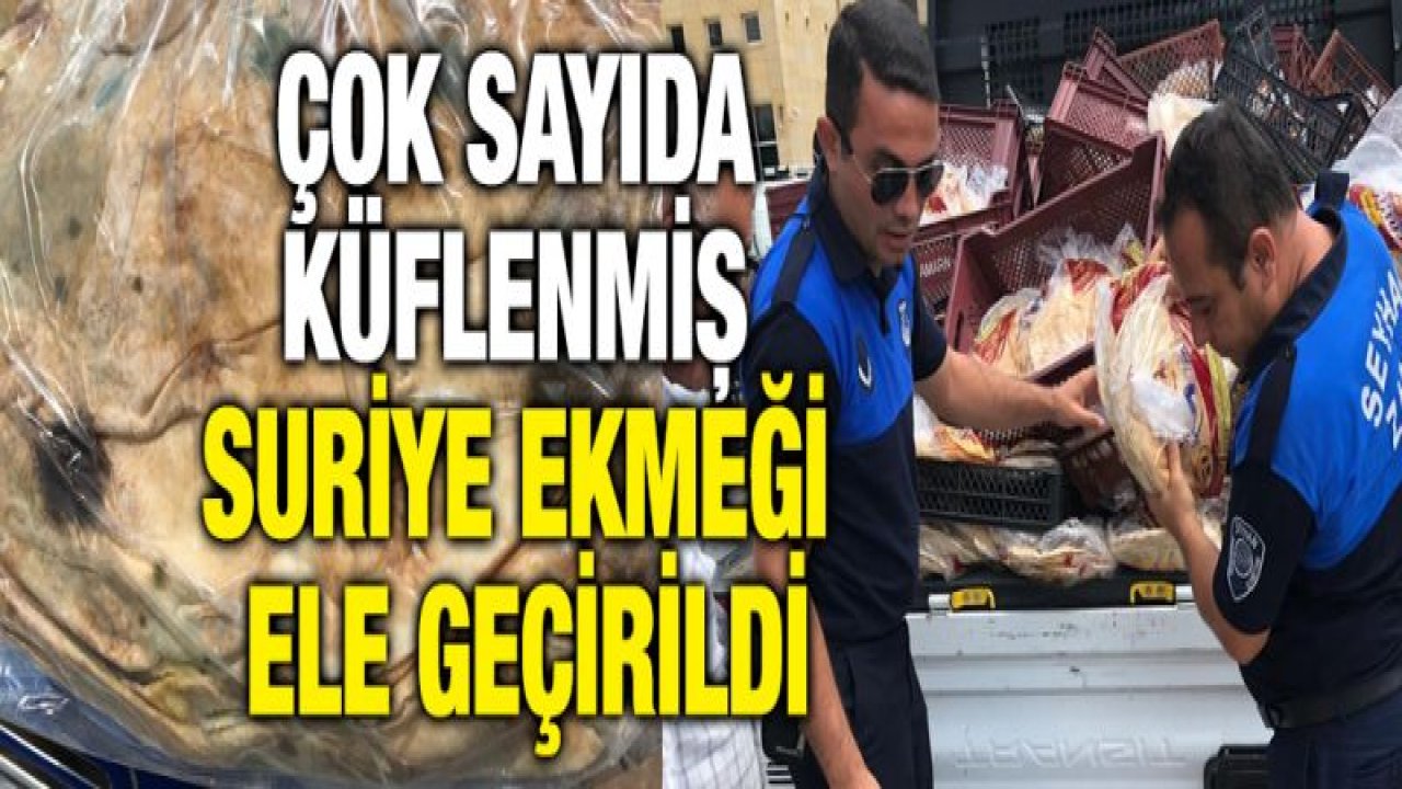 Küflü ekmekleri vatandaşa yedireceklerdi