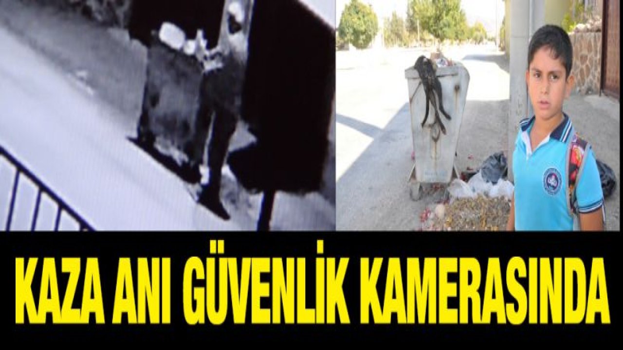 Motosikletin çarptığı köpek telef oldu