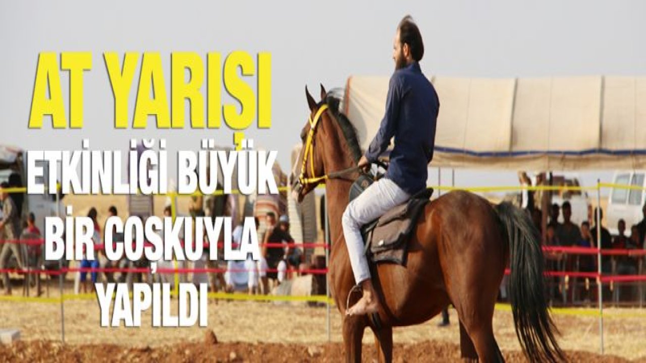 El Bab'da at yarışı coşkuyla izlendi