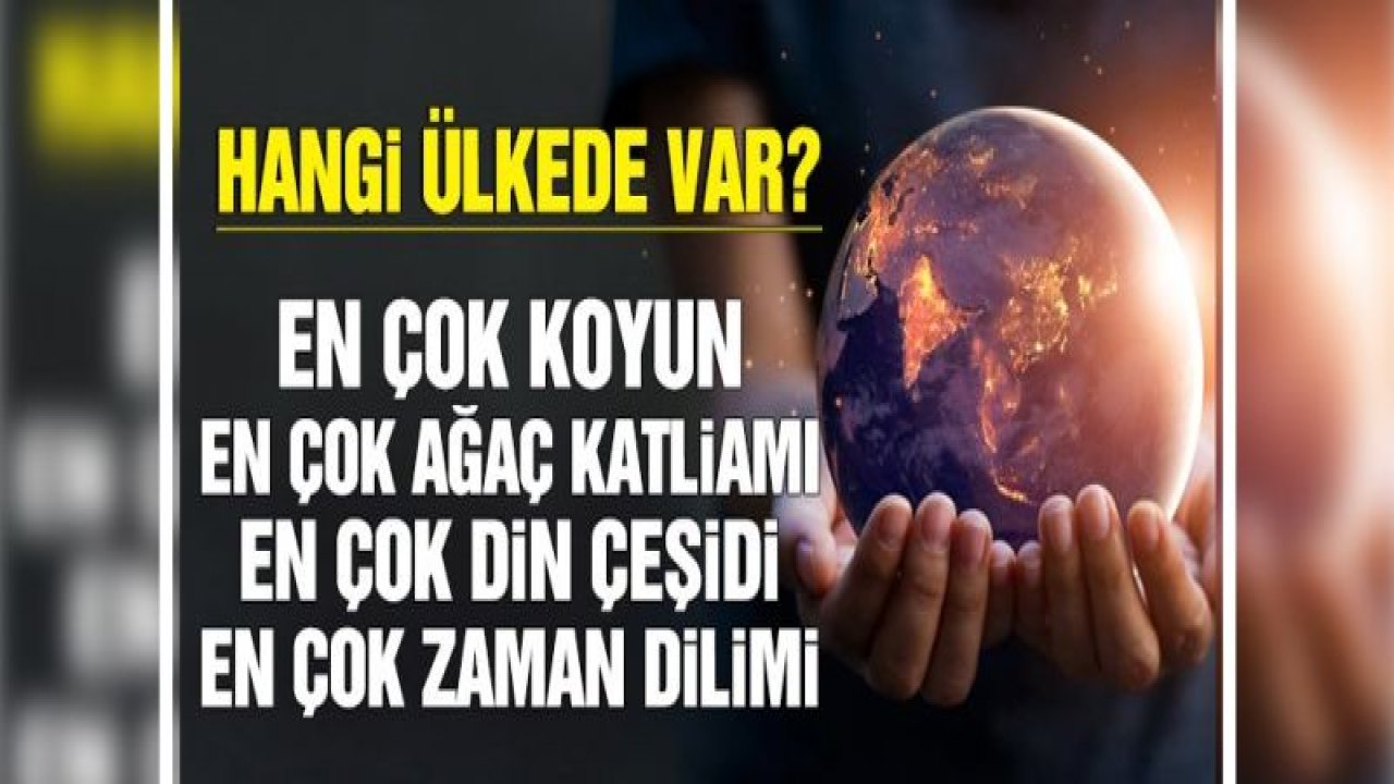 Ülkeler hakkında daha önce duymadığınız ilginç bilgiler