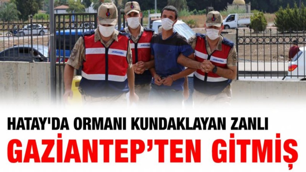 Hatay'da ormanı kundaklayan zanlı adliyeye sevk edildi