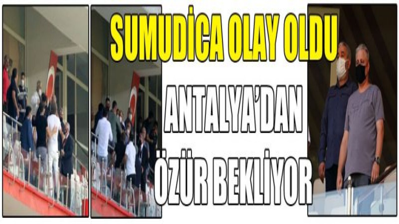 Sumudica özür bekliyor