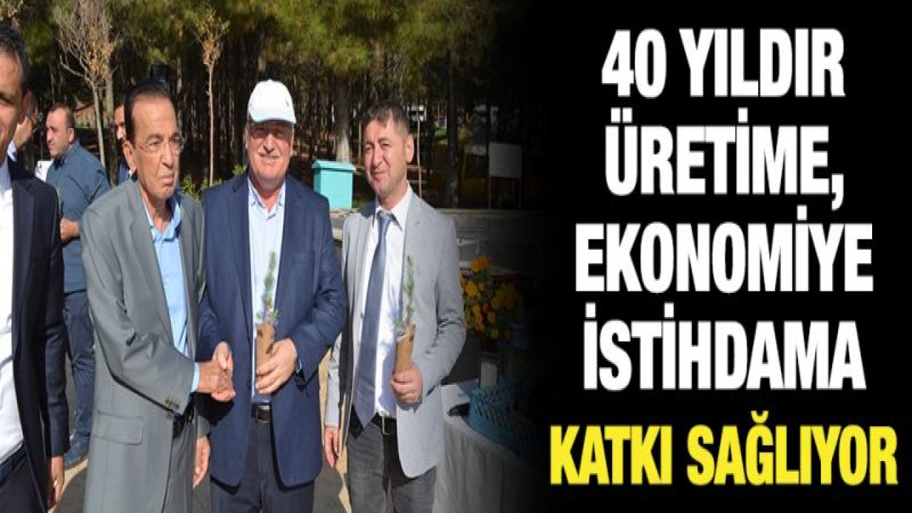 Tekstil ve Halı Sektöründe 40 Yıl