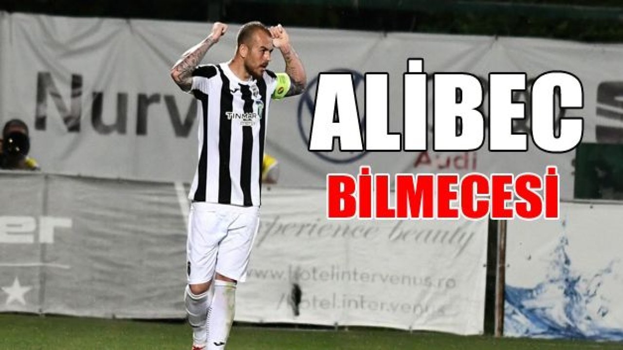 ALİBEC BİLMECESİ