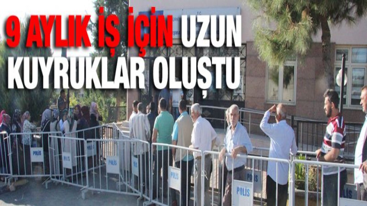 Kilis'te 9 aylık iş için uzun kuyruklar oluştu