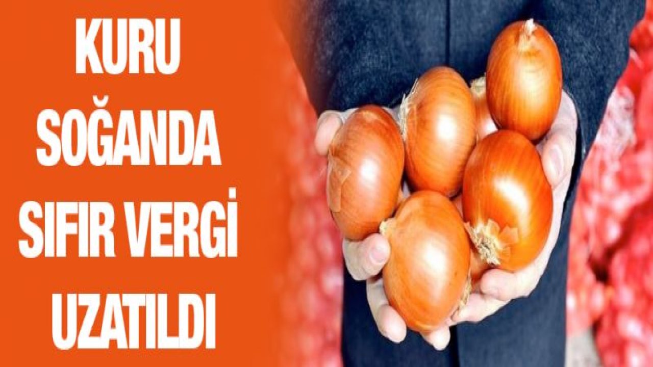 Kuru Soğanda sıfır vergi uzatıldı