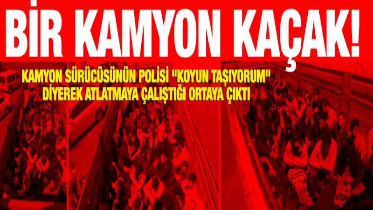 Kamyon kasasından koyun yerine 61 kaçak göçmen çıktı