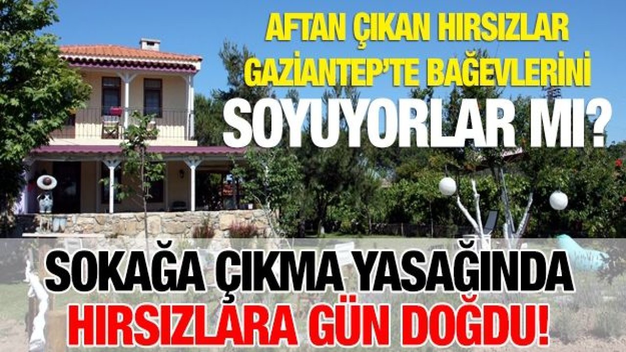 Sokağa çıkma yasağında hırsızlara gün doğdu!