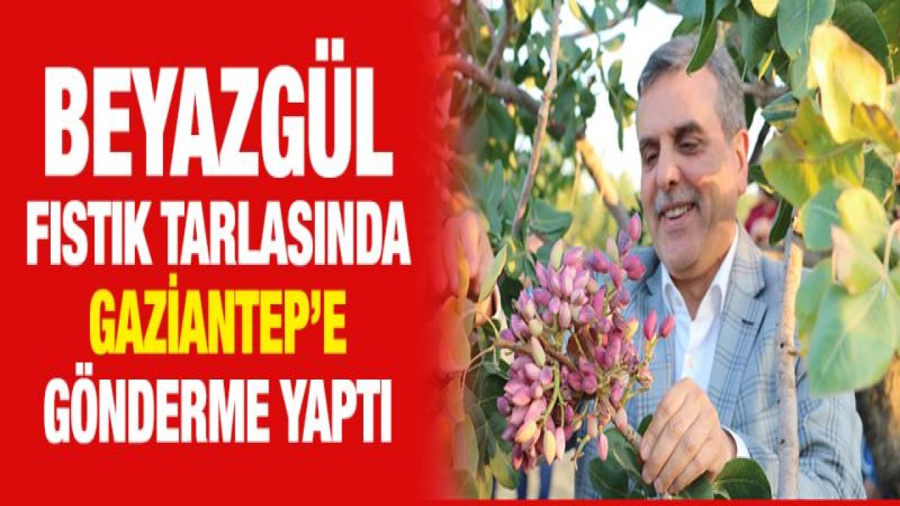 Şanlıurfa ve Gaziantep arasında fıstık krizi