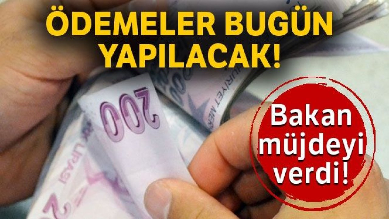 Bakan Pakdemirli açıkladı: 331 milyon liralık destek ödemesi bugün başlıyor