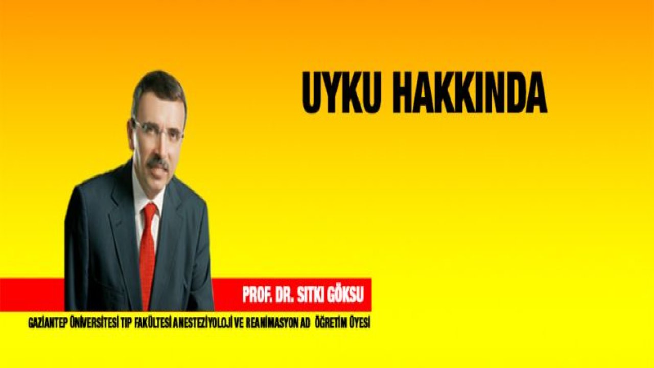 Uyku Hakkında