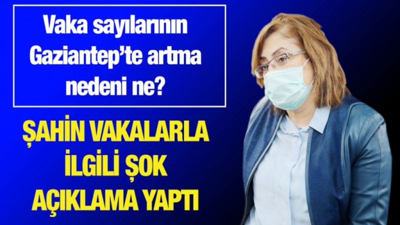 Vaka sayılarının Gaziantep’te artma nedeni ne?...  Şahin vakalarla ilgili şok açıklama yaptı