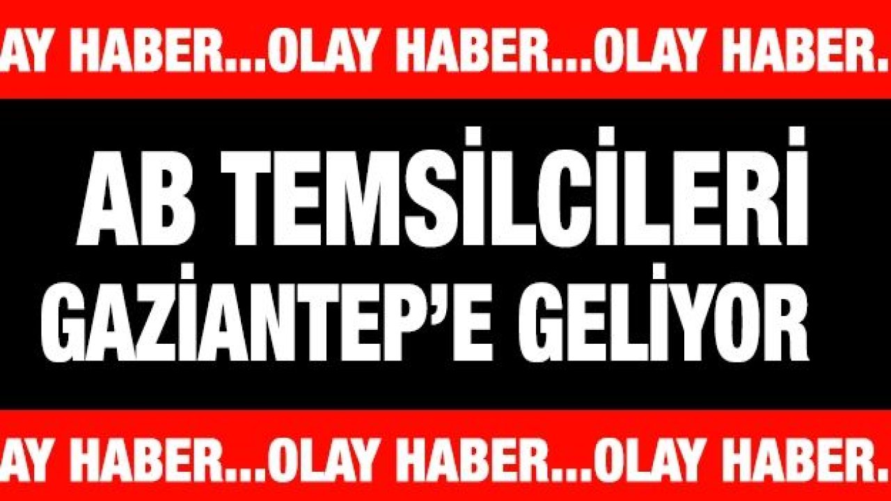 AB Temsilcileri Türkiye'ye geliyor