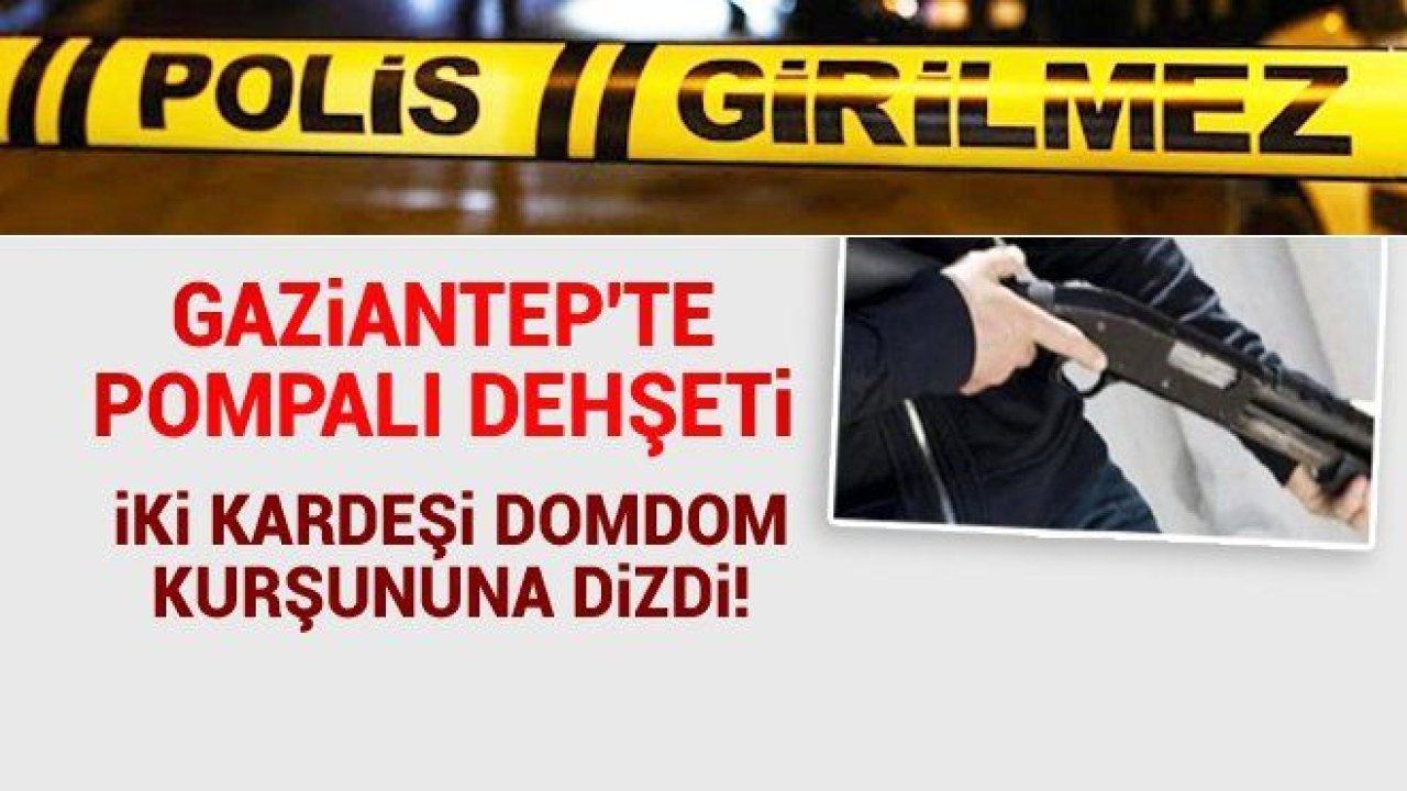 Yol kesip iki kardeşi kurşuna dizdiler...