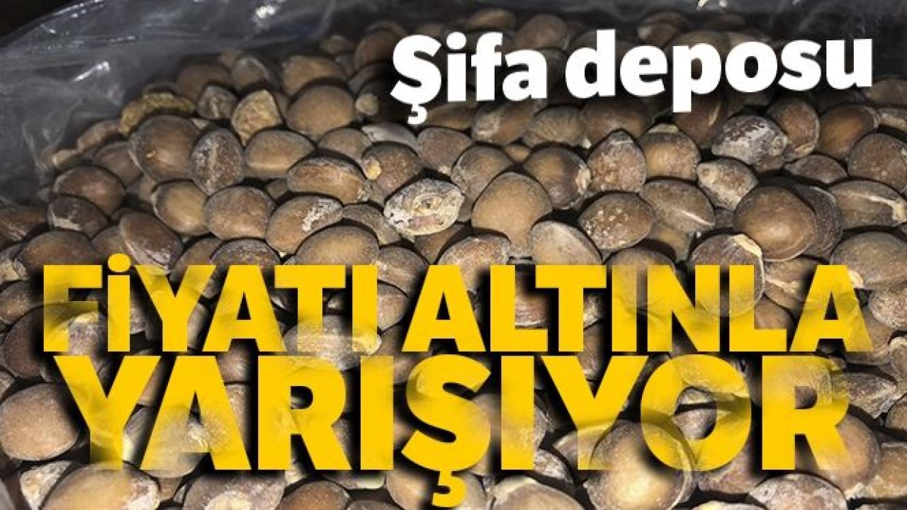 Siirt bıttımı altın fiyatını geçti