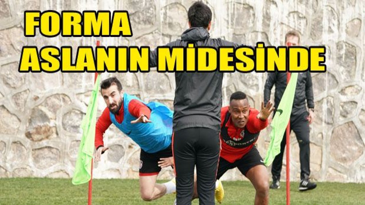 Forma aslanın midesinde!