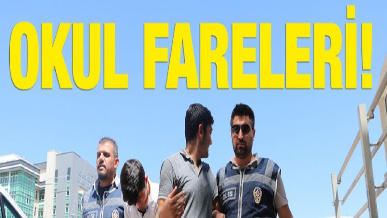 Okul fareleri operasyonla yakalandı