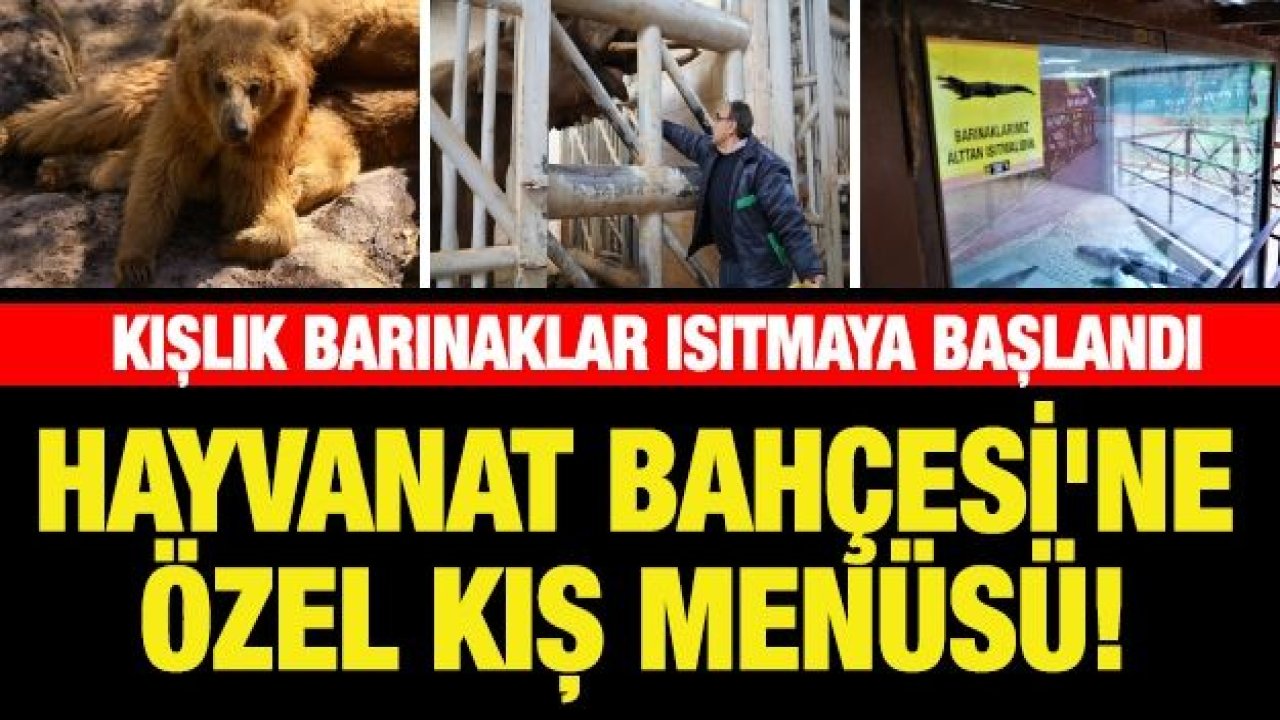 HAYVANAT BAHÇESİ'NE ÖZEL KIŞ MENÜSÜ!