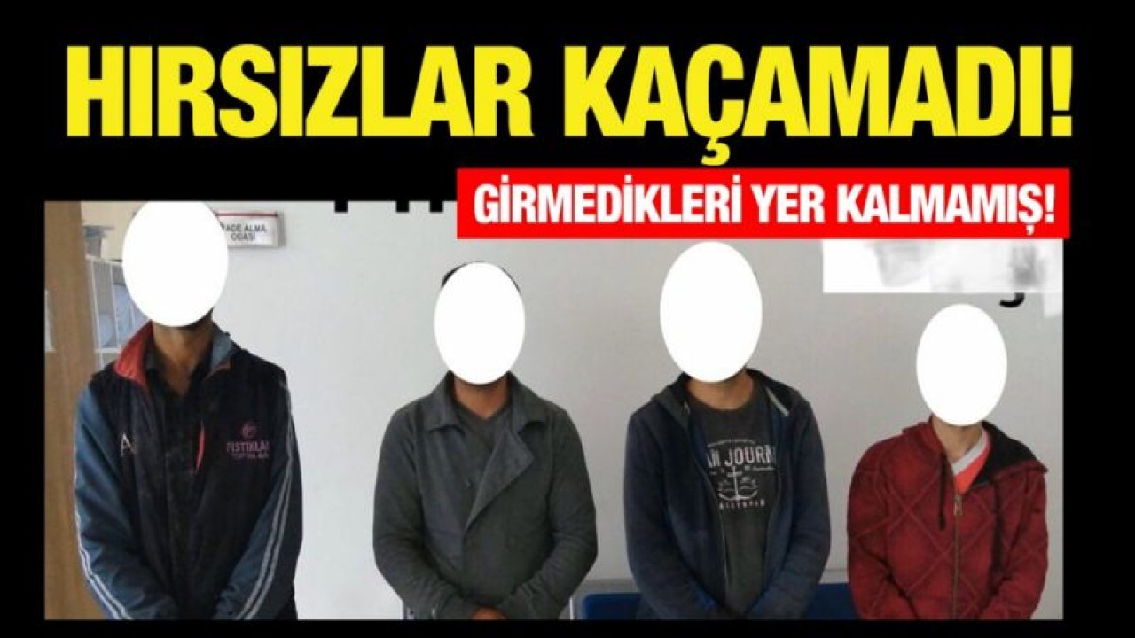 Hırsızlar kaçamadı