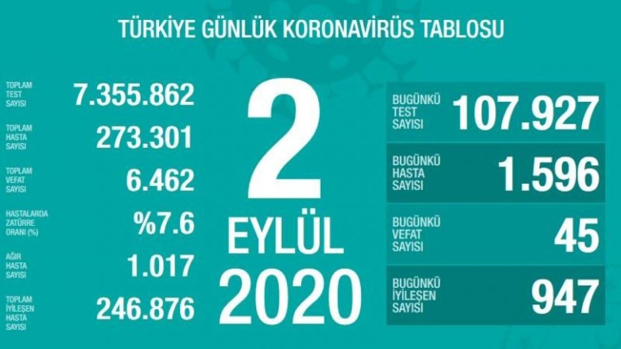 Son dakika… Güncel corona virüsü verileri açıklandı! İşte 3 Eylül tablosu…