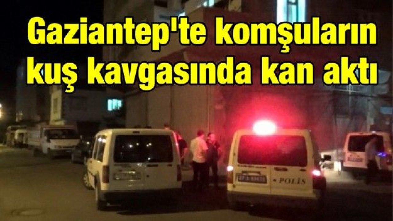 Gaziantep'te komşuların kuş kavgasında kan aktı: 2 yaralı