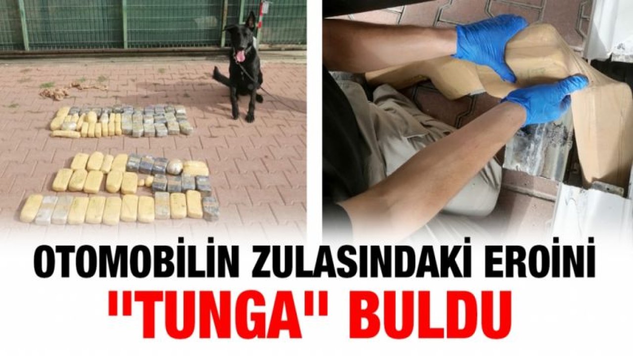 Otomobilin zulasındaki eroini "Tunga" buldu