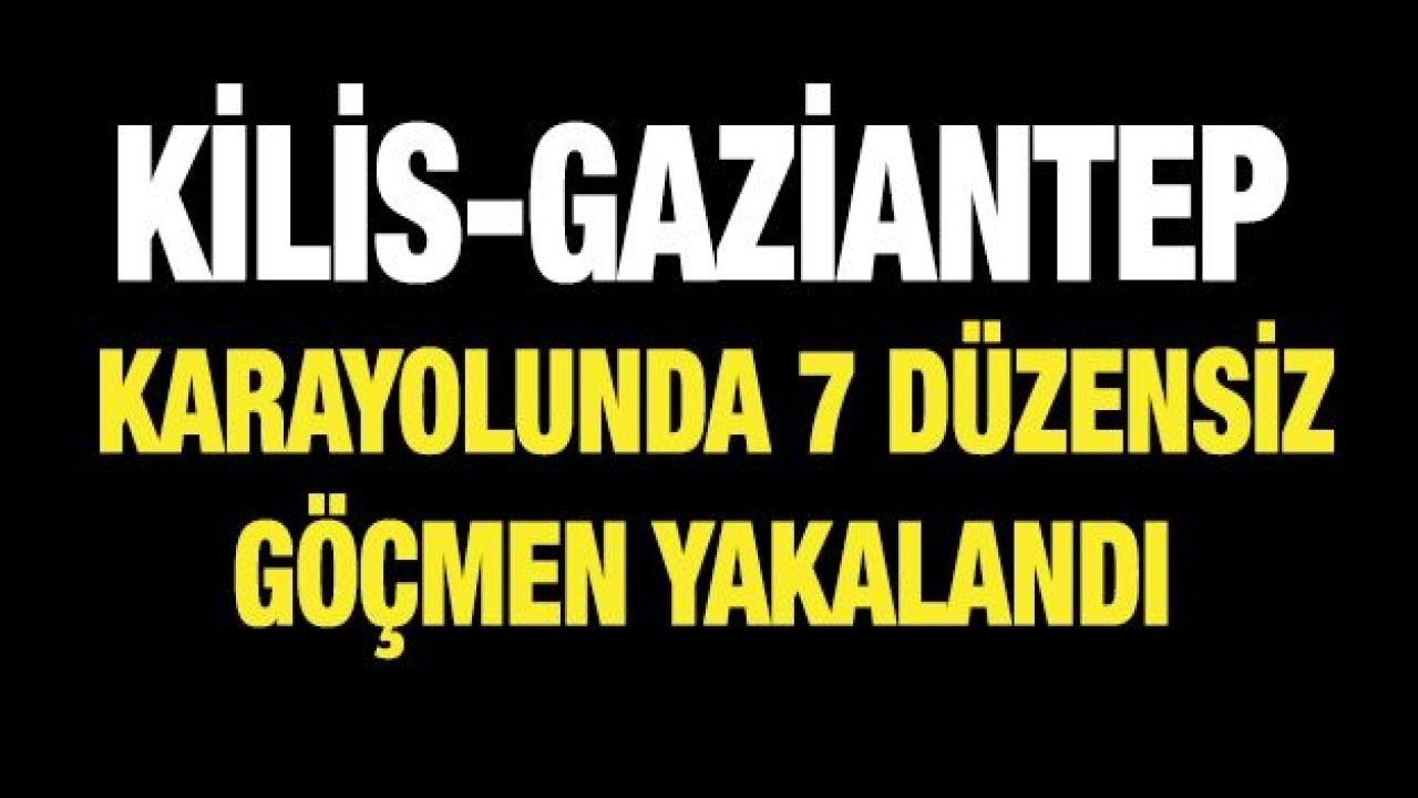 7 düzensiz göçmen yakalandı