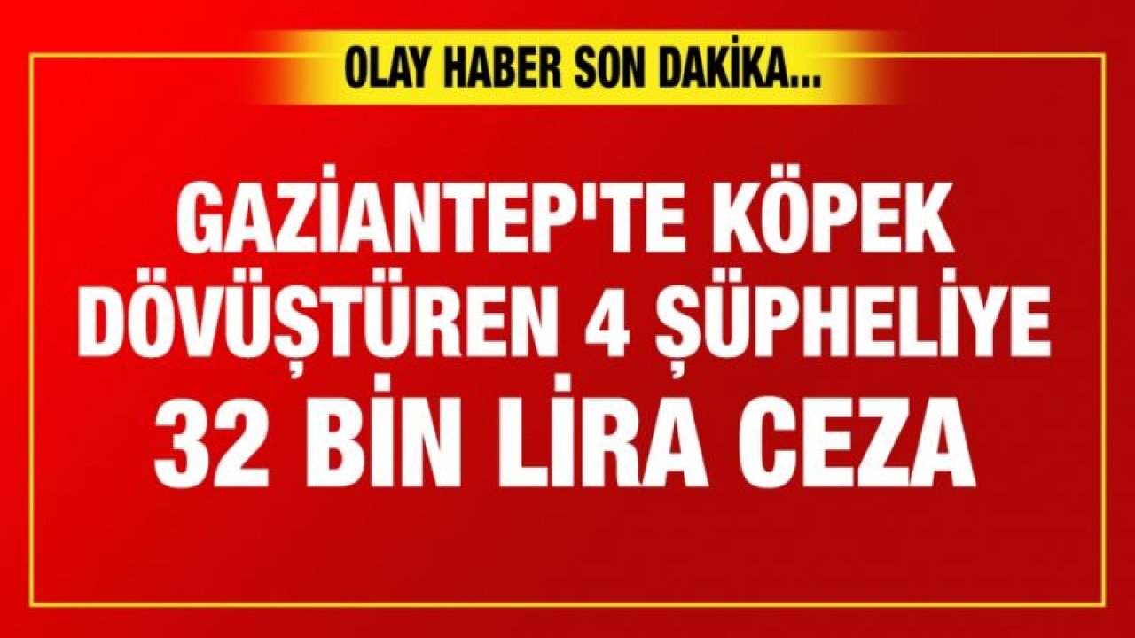 Gaziantep'te köpek dövüştüren 4 şüpheliye 32 bin lira ceza uygulandı