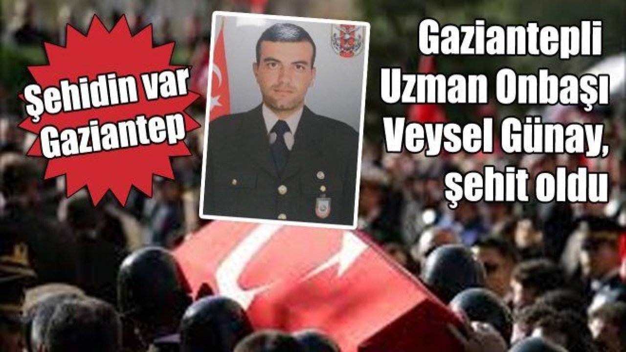 Son dakika... Gaziantep'e şehit ateşi düştü...