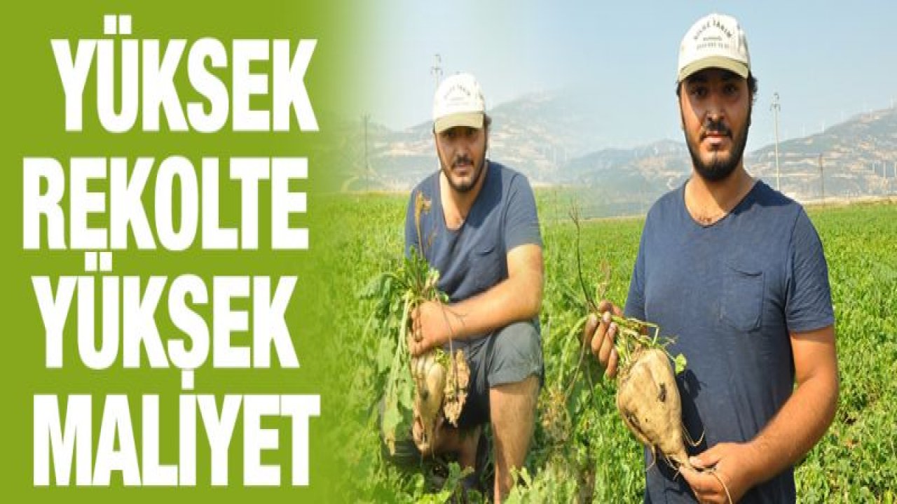 Şeker pancarında yüksek rekolte yüzleri güldürdü