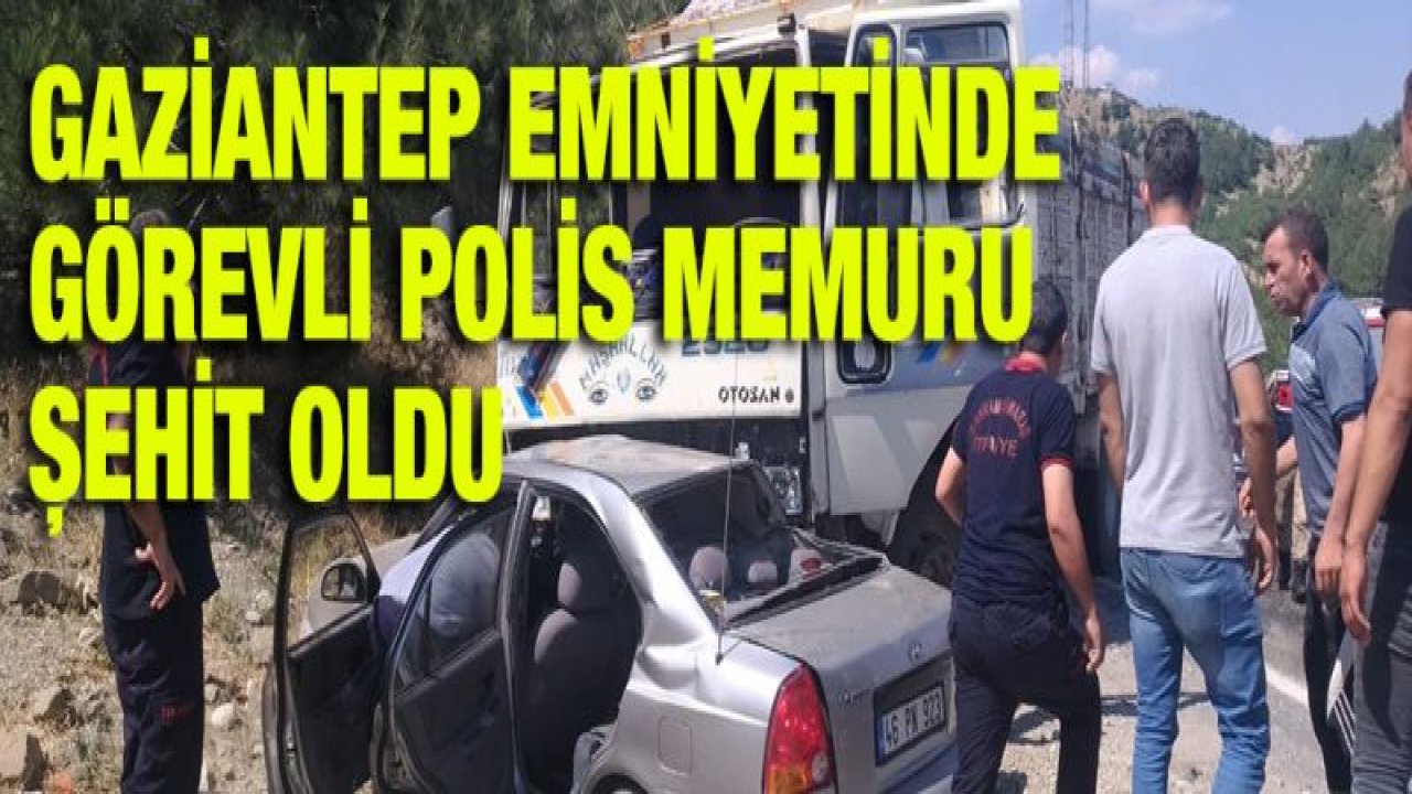 Kamyon ile otomobilin çarpıştığı kazada polis memuru öldü