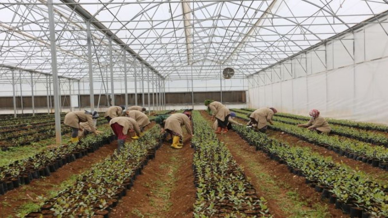 Büyükşehir tarım eğitimlerine başladı