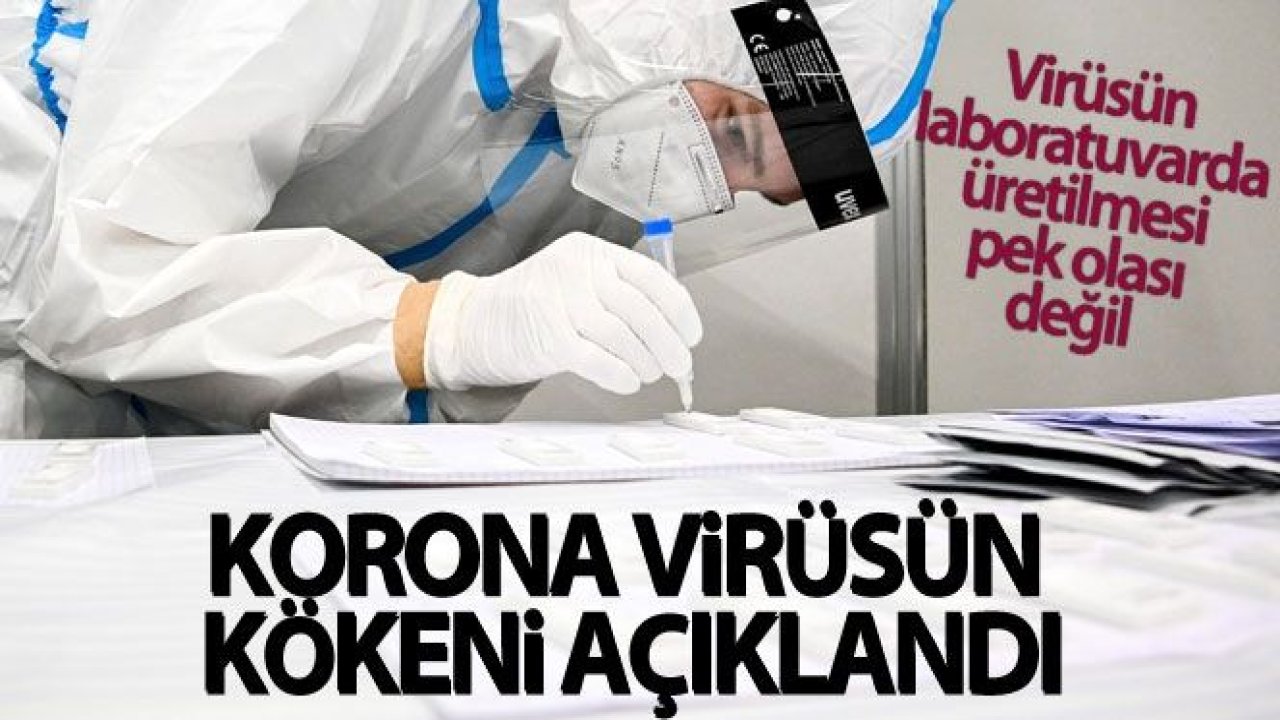 Dünya Sağlık Örgütü ekibi korona virüsün kökenini açıkladı