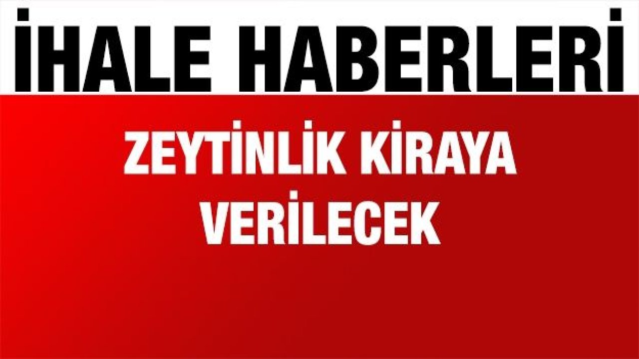 Zeytinlik kiraya verilecek