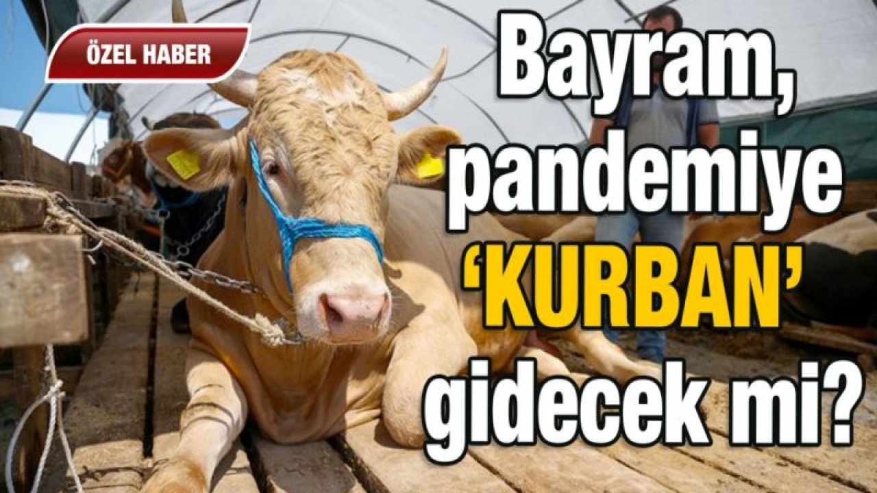 Bayram, pandemiye ‘KURBAN’ gidecek mi?