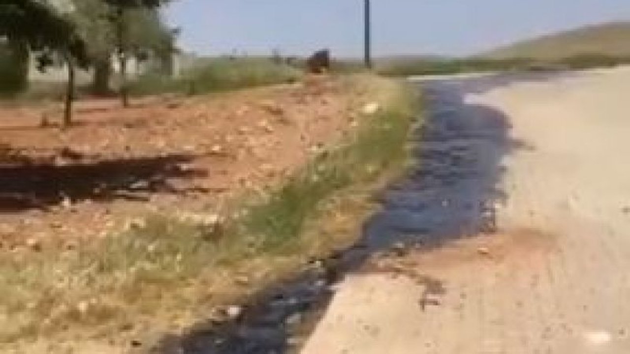 Video Haber...Gaziantep Körkün'de Zehirli Su Hastalık Saçıyor!