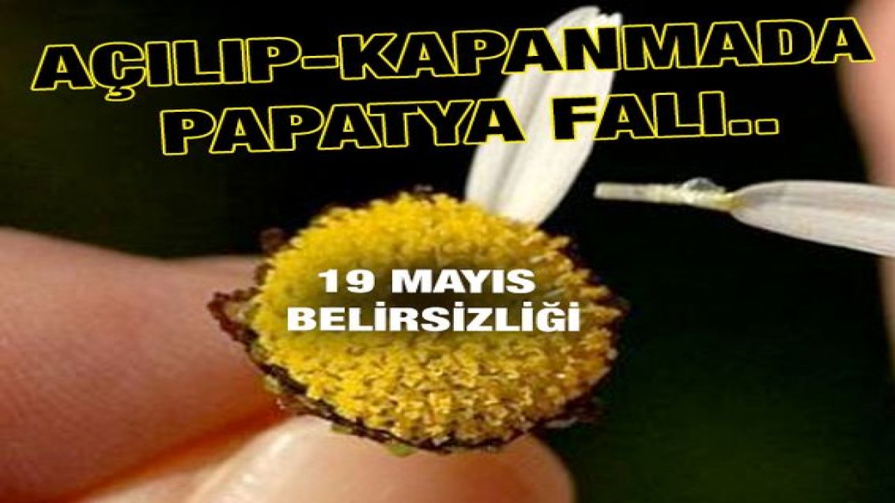 Son Dakika...Açılıp, kapanmada papatya falı..