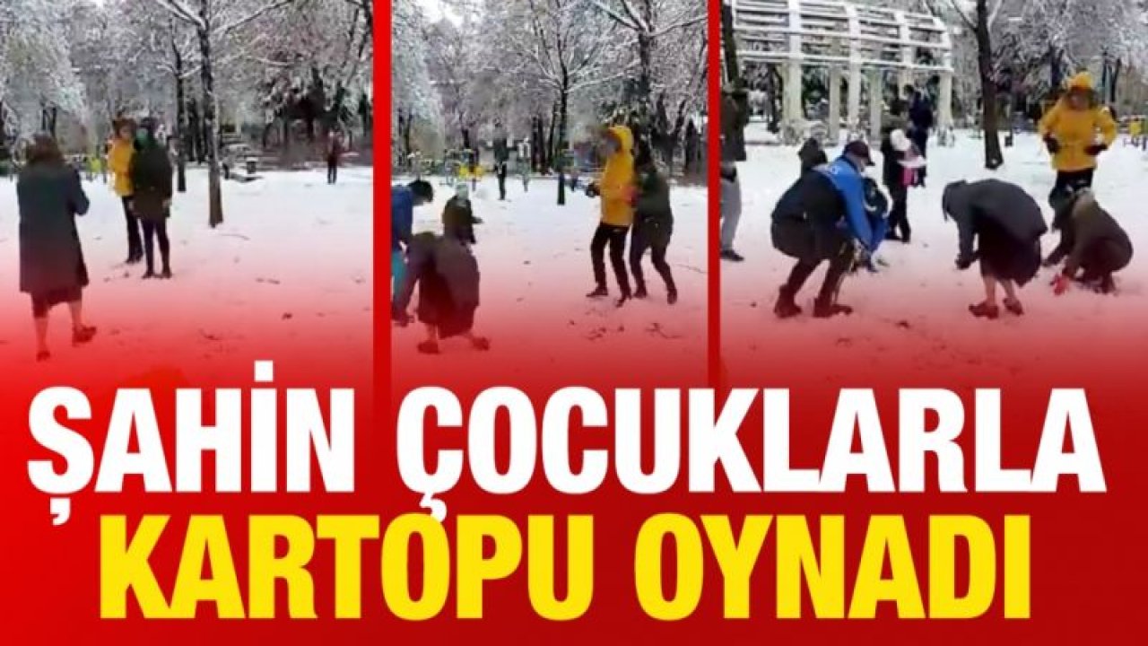 Şahin çocuklarla kartopu oynadı