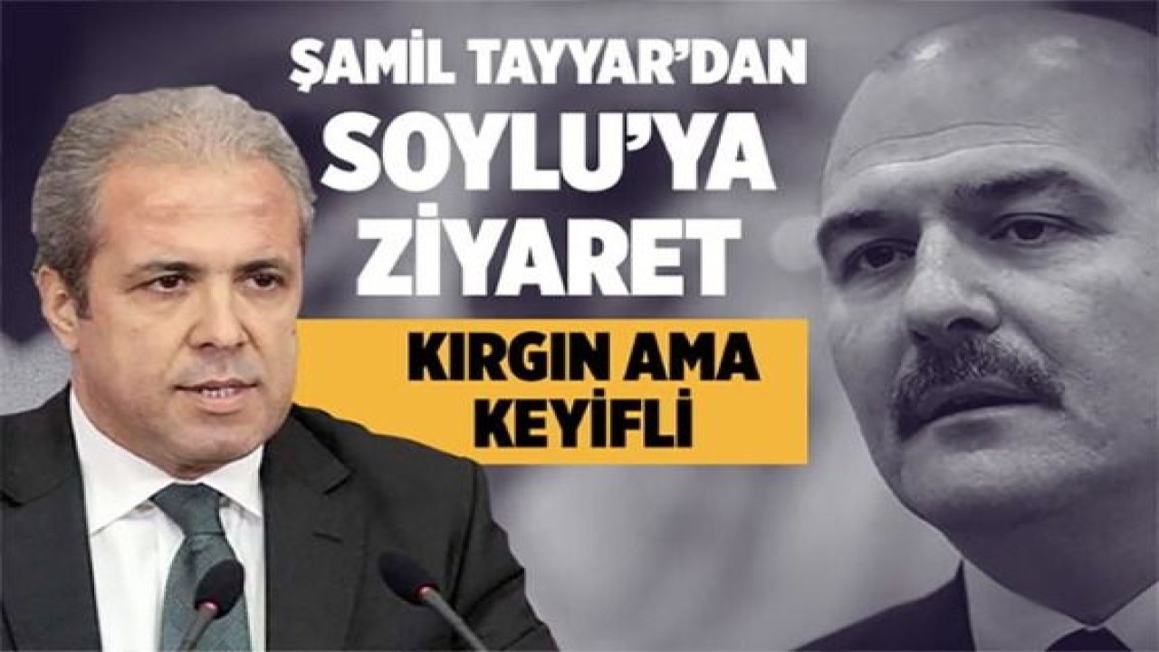 Şamil Tayyar'dan Süleyman Soylu tweeti