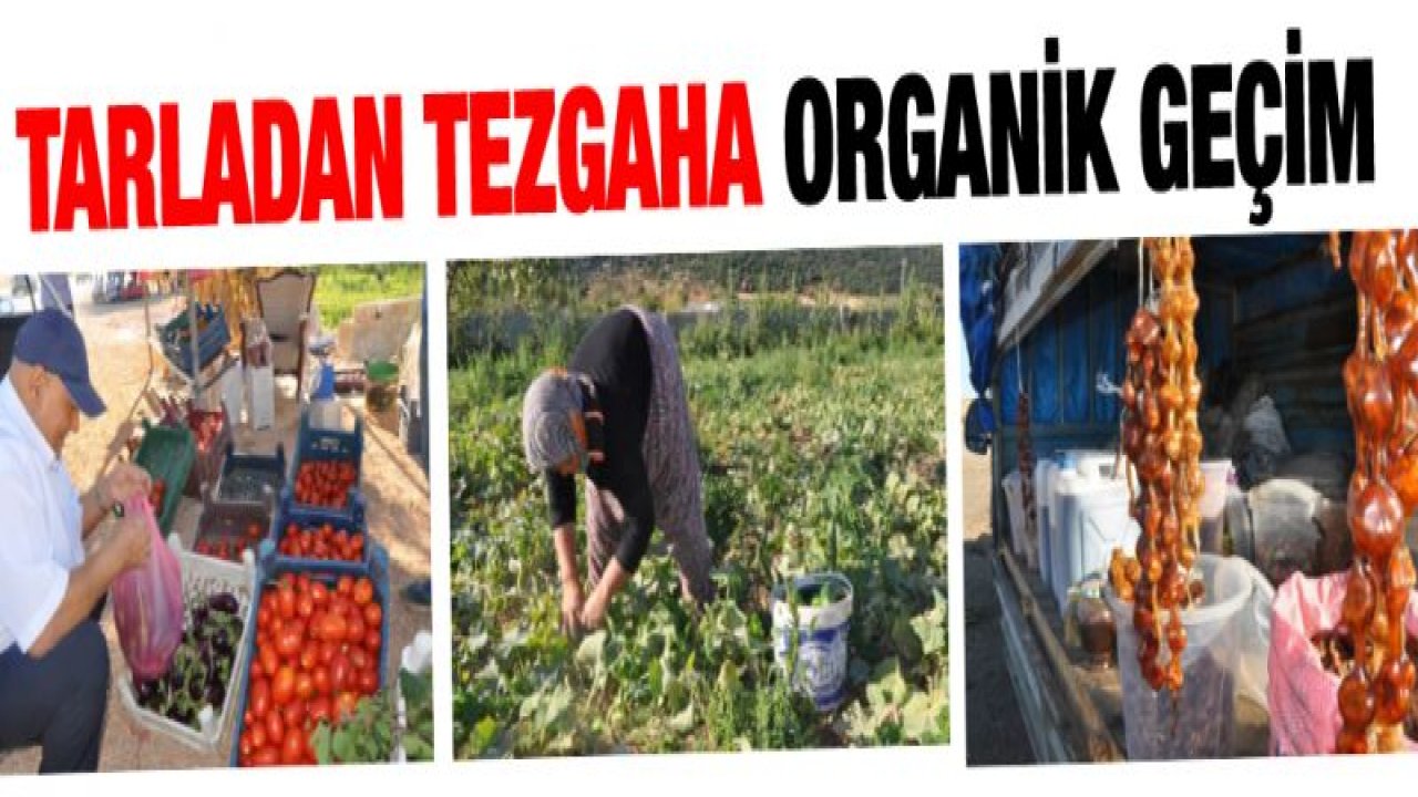 Tarladan tezgaha organik geçim